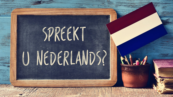 Иллюстрация к новости: Вебинар с представителями посольств Бельгии и Нидерландов и сообществ по Нидерландскому языку